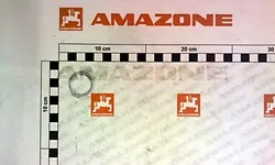 Кольцо  DL163 Amazone
