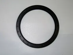 Сальник 100х120х10 КАМАЗ РК STEYR КПП ZF  0734.300.479 
