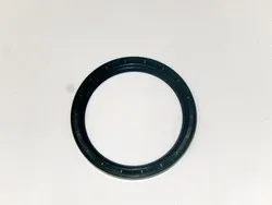 Сальник 80х100х10 КПП ZF  95532541 Euroricambi